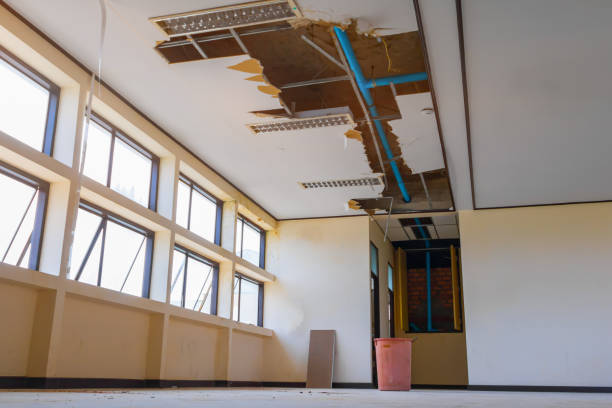 Best Sewage cleanup and water damage restoration  in Collinsville, TX