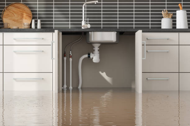 Best Water damage contractors near me  in Collinsville, TX