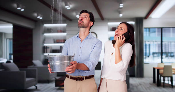 Best Mold removal after water damage  in Collinsville, TX